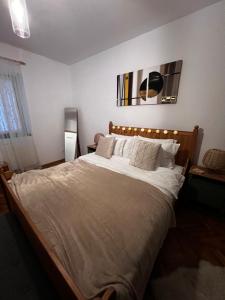 Gallery image of Eden Garden in Braşov +15 photos