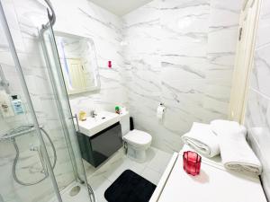 e bagno con doccia, servizi igienici e lavandino. di Luxury Flat at Temple Bar Dublin a Dublino