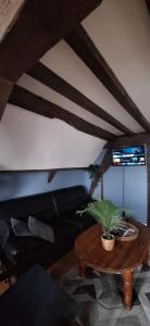 a living room with a table with a plant on it at The 16th Century Duplex in The City Center in Antwerp