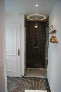 a bathroom with a shower with a glass door at La Grange De Salomé in Salomé