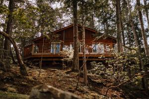 a log cabin in the woods with trees at Page's Resort & Marina in Gabriola