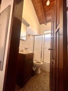 a bathroom with a toilet and a sink and a shower at Villas del Mar in La Ceiba