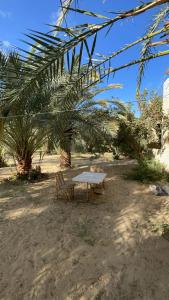 une table de pique-nique et un banc dans un champ dans l'établissement Siwa desert home, à Siwa