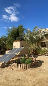 Siwa desert home في سيوة: لوحة شمسية بجانب مبنى به نخيل
