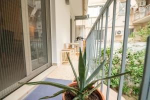 雅典的住宿－Alios, Luxury Living Athens，坐在阳台上的盆栽植物