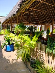 un grupo de plantas frente a un edificio en Sea Breeze Apartments Shanzu Mombasa, en Mombasa