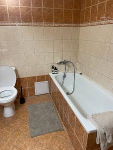 a bathroom with a tub and a toilet at Prostě Terezská in Olomouc +10 photos