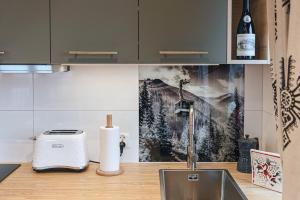 Kuchyň nebo kuchyňský kout v ubytování Apartament Chateau Karpielówka Kościelisko