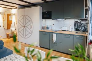 Kuchyň nebo kuchyňský kout v ubytování Apartament Chateau Karpielówka Kościelisko