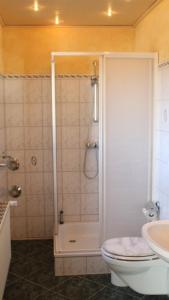 ein Bad mit einer Dusche, einem WC und einem Waschbecken in der Unterkunft Ferienhof Marlin - Ferienhaus Stralsund in Solkendorf