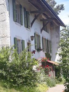 un edificio blanco con flores y ventanas con contraventanas verdes en Chez Cathy en Arzier