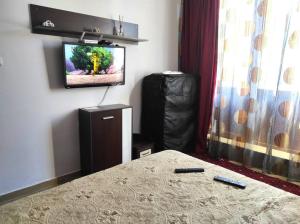 Μια τηλεόραση ή/και κέντρο ψυχαγωγίας στο One-bedroom apartment in Cedar Lodge 3 +12 φωτογραφίες