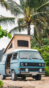 Niebieski van zaparkowany przed palmą w obiekcie Hawaii Surf Campers w mieście Wahiawa