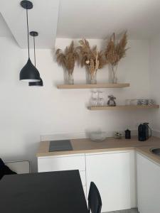 a kitchen with a table and shelves with plants at La chambre de Flore in Arras