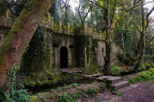 an old stone building in the woods with a tree at Apartamento A Cachola in Cangas de Morrazo