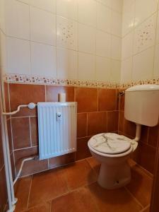 a bathroom with a toilet and a sink at Charming Celje City Center Apartment in Celje