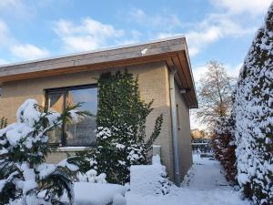 een huis bedekt met sneeuw met een klimop bij Tiny House in de Boomgaard in Stad aan ʼt Haringvliet
