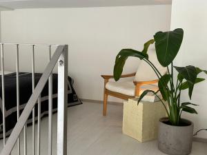una planta en una olla al lado de un dormitorio en Cozy Design Loft next to Metro en Helsinki