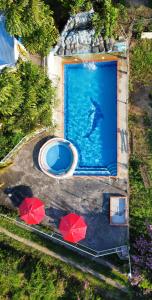 an aerial view of a swimming pool with a dolphin in the water at Cabaña-Finca Portal De La Ceiba in San Gil