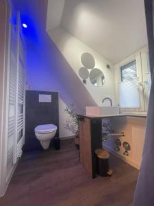 a bathroom with a toilet and a sink at GRYT Home - FeWo XXL - Nähe Nordsee in Ramhusen