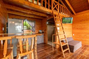 a kitchen with a ladder in a wooden cabin at Cabaña El Ciprés: Vistas increíbles y Mirador in Turrialba
