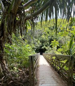 Gambar di galeri bagi Explore Maui's diverse campgrounds and uncover the island's beauty from fresh perspectives every day as you journey with Aloha Glamp's great jeep equipped with a rooftop tent di Paia