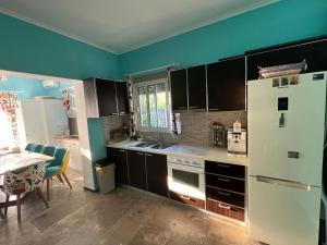 Η κουζίνα ή μικρή κουζίνα στο Kalosýni Holiday Home Lefkada