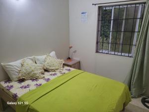 a bedroom with a green bed with pillows and a window at East Caribbean Lodging in Gros Islet