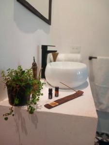um balcão de casa de banho com um lavatório e um vaso de plantas em Isla Tortuga - Prado - Deportes Náuticos - Cerca a Bogotá - Cerca a Ibagué em Prado