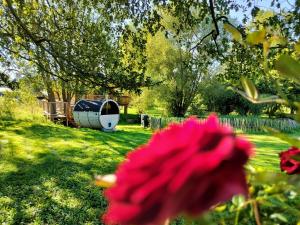 Zahrada ubytování La Cabane d'Ode