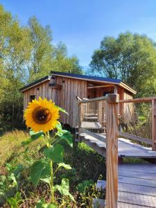 Zahrada ubytování La Cabane d'Ode