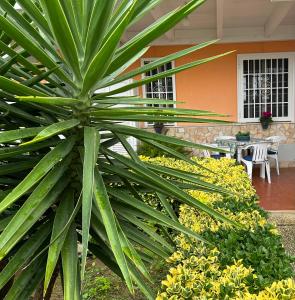 スペルロンガにあるDemetra Apartment Sperlongaのギャラリーの写真