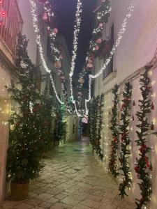 alejka ozdobiona światłami świątecznymi i choinkami w obiekcie trulli mancinella w mieście Locorotondo