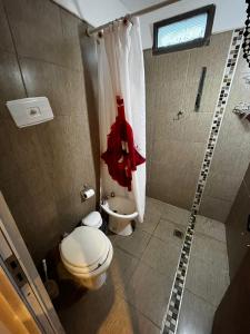 ein Bad mit einem WC und einer Dusche in der Unterkunft Angelina Pilar Córdoba in Pilar