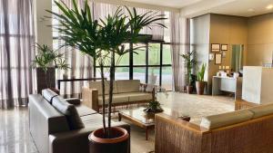 a living room with a couch and a palm tree at Natal Plaza in Natal