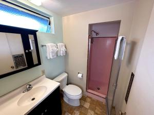 a bathroom with a shower and a toilet and a sink at Vista Grande Resort - A Gay Men's Resort in Palm Springs