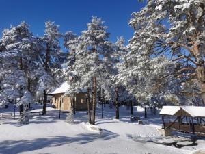 Apartman Zlatni breg Divčibare v zime
