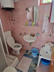 ein Badezimmer mit einem WC, einem Waschbecken und einem Spiegel in der Unterkunft Apartment in Icici with sea view, terrace, Wi-Fi (4870-1) in Ičići