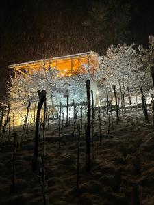 un edificio cubierto de nieve por la noche en Sad Meli Wines, en Ambrolauri