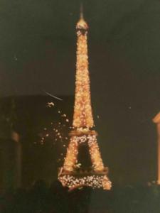 uma torre Eiffel é iluminada à noite em Appartement 3 pièces RER C proche Paris Les Grésillons em Asnières-sur-Seine