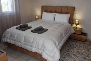 a bedroom with a large bed with two pillows on it at VILLAGE HOUSE in Tríkala