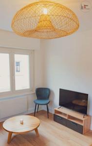 a living room with a chair and a television at Le reflet chic - 2 pièces neuf - quartier calme à 5 min de Strasbourg in Schiltigheim