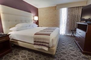 a hotel room with a large bed and a television at Drury Inn & Suites San Antonio Northeast in San Antonio