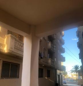 een uitzicht op een gebouw met zuilen en een palmboom bij شارع طارق مرسي مطروح in Marsa Matruh