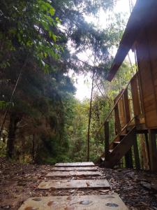 un camino de madera que conduce a una cabaña en el bosque en Sanary, en Guarne