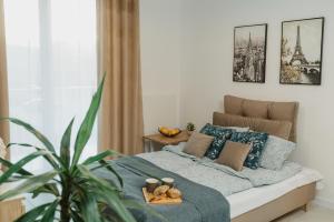1 dormitorio con 1 cama y una maceta en F211 Apartament DELTA, en Lublin
