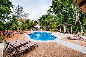 Bazén v ubytování El Sueno Tropical nebo v jeho okolí