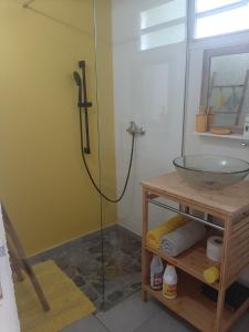 a bathroom with a glass shower with a sink at Zannanna delair in Sainte-Anne