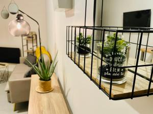 a living room with a shelf with plants in it at Appartement Ferrero in Angoulême