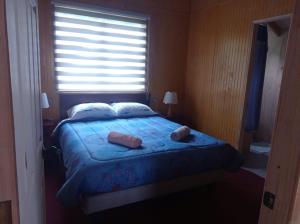Gallery image of Hospedaje 4 estaciones in Futaleufú